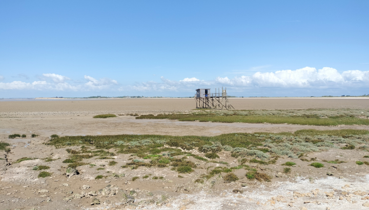 Anse de Fouras (17450 Fouras)