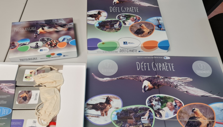 Jeu : Défi Gypaète