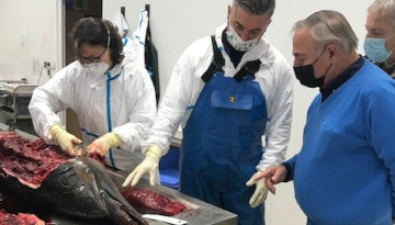 Allain Bougrain Dubourg à l'Observatoire Pelagis