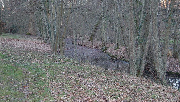 © Les amis du parc