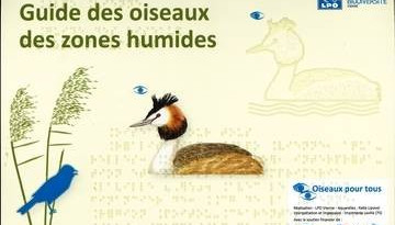 Guide des oiseaux des zones humides en braille