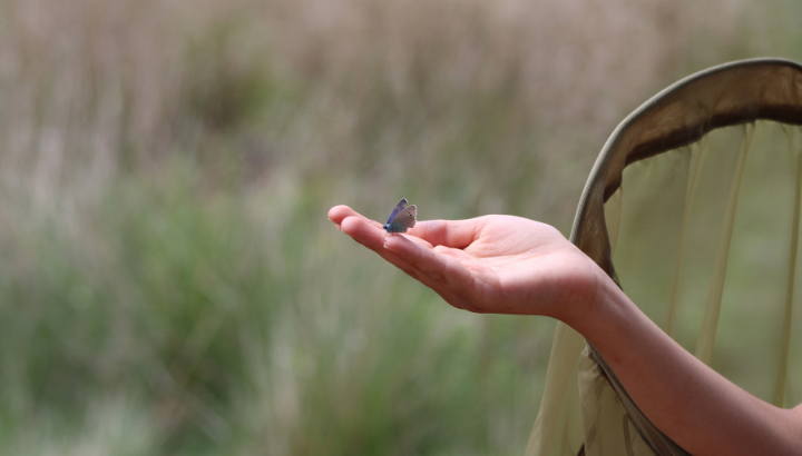 Stage jeune naturaliste © LPO PACA - Charlotte SPRINGAUX