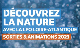 Programme des sorties 2023