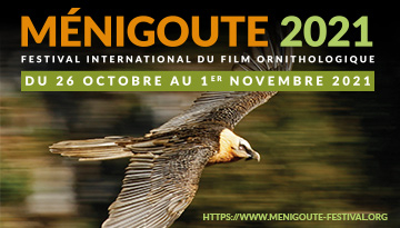 Visuel affiche Ménigoute 2021 Festival International du Film Ornithologique du 26 octobre au 1er novembre 2021 photo d'un Gypaète barbu en vol de profil