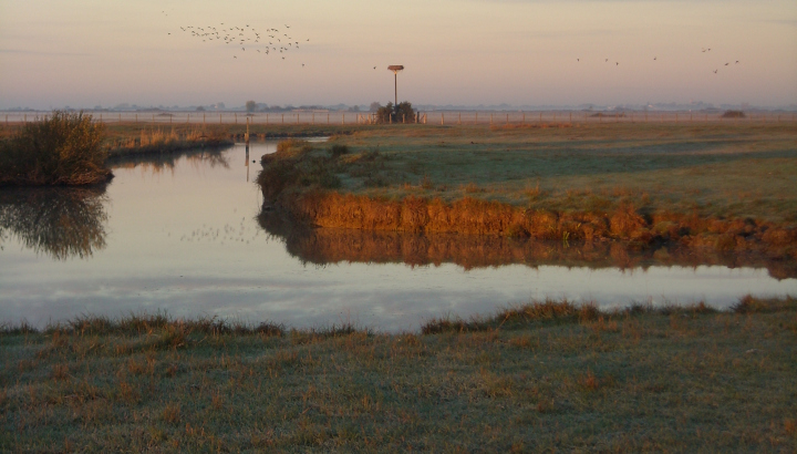 Paysage de la Réserve Naturelle Nationale « Michel Brosselin » de Saint-Denis-du-Payré