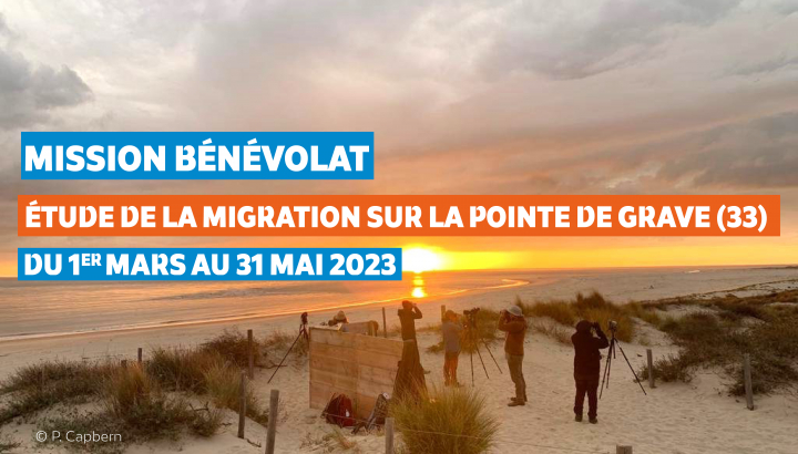 Observateurs sur la Pointe de Grave