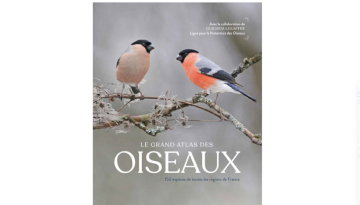 Couverture du Grand Atlas des Oiseaux