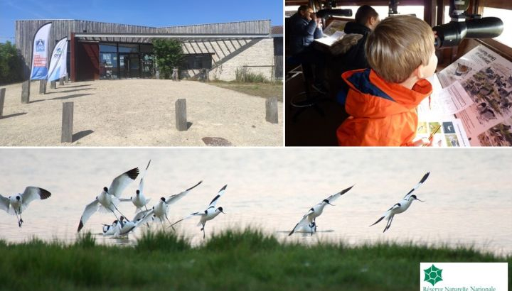 Venez observer les oiseaux en toute quiétude dans de très bonnes conditions.