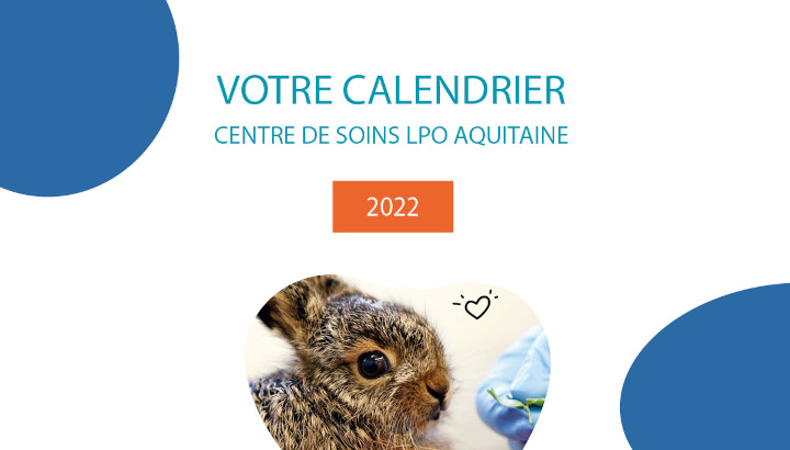 visuel "votre calendrier - centre de soins LPO Aquitaine 2022" + lapereau en soins