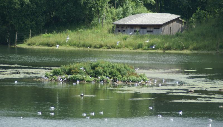 Un des observatoires du site des 5 tailles