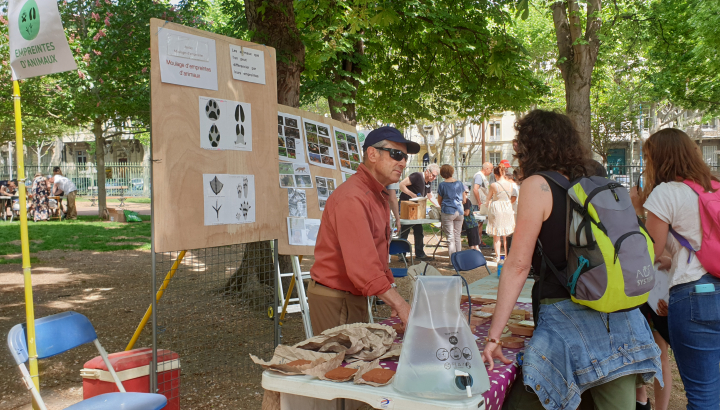 Tenue d'un stand dans un jardin public