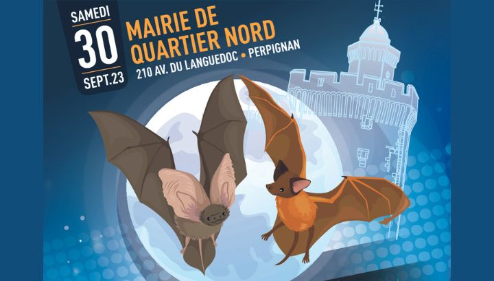 Affichette de l'événement, deux chauve-souris volant devant une pleine lune avec le Castillet en fond.