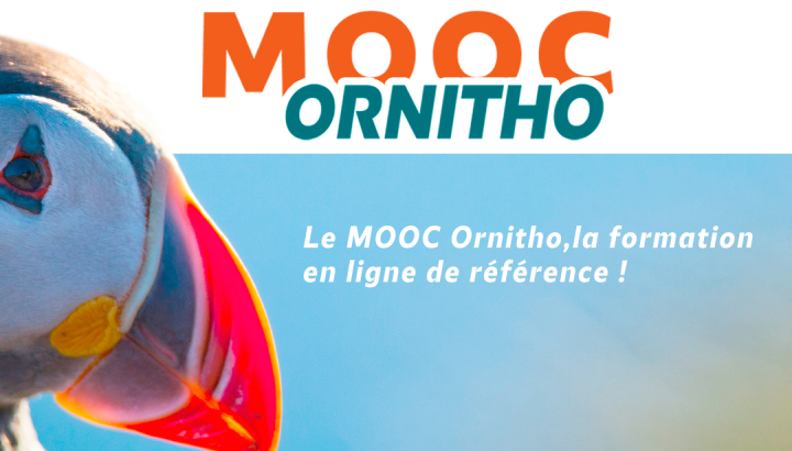Bandeau promotionnel du Mooc Ornitho