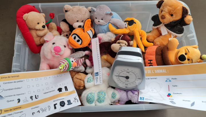 des dizaines de peluches