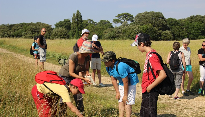 Safari Junior Détectives en herbe