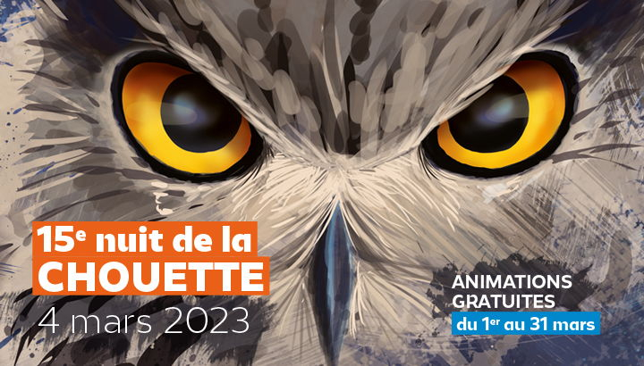 affiche 15e édition de la nuit de la chouette - illustration d'un hibou centrée sur son regard et ses yeux jaunes