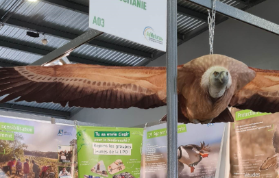 Stand LPO avec maquette 3D taille réelle des quatre vautours