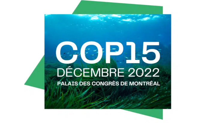 Affiche COP15, décembre 2022, palais des congrès de Montréal