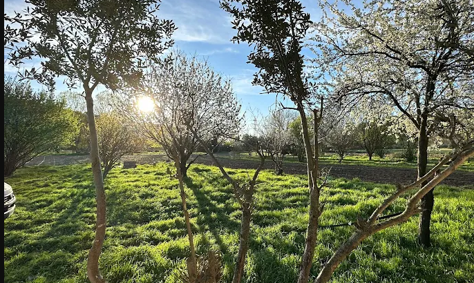 Jojo Bio Maraîchage