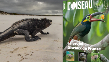 Couverture Oiseau Magazine 143