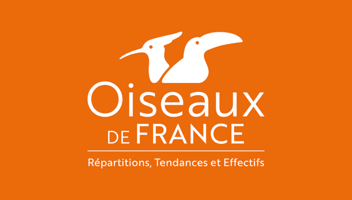 logo Oiseaux de France