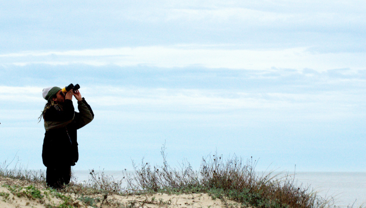 Observateur sur la Pointe de Grave