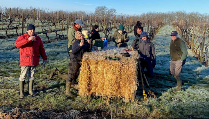 Groupe de bénévoles lors d'un chantier