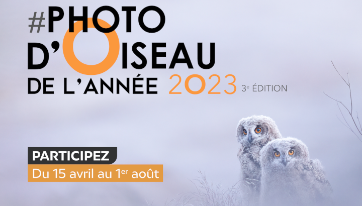 Affiche du concours de la photo d'oiseau de l'année 2023