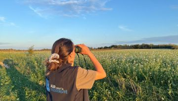 Observation naturaliste ©LPO Occitanie