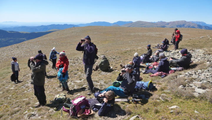Observation sur les crêtes Photo Cécilia Fridlender