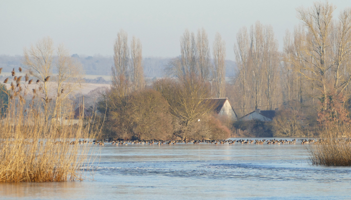 Etang d'Assay © Pierre Réveillaud