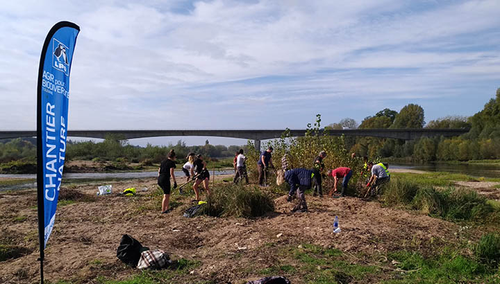 Chantier nature © LPO CVDL