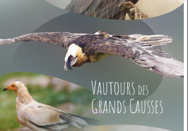 Livret : Les vautours des Grands Causses