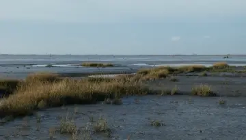 Vue depuis la Marina