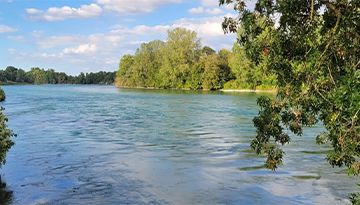 Partie libre du Rhône