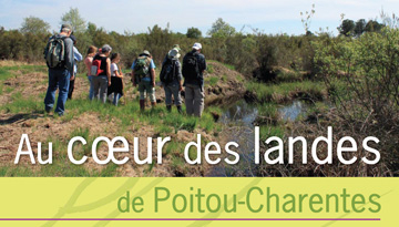 Aperçu du premier panneau de l'exposition avec des photos de lande fleurie et d'un groupe en balade dans une lande.