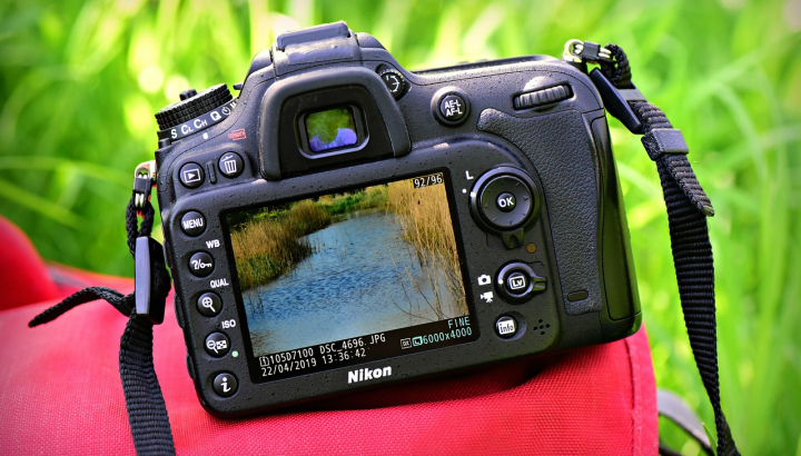 Appareil photo posé sur un sac avec herbes vertes en arrière plan