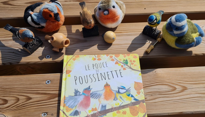 Livre « le pouce de poussinette »