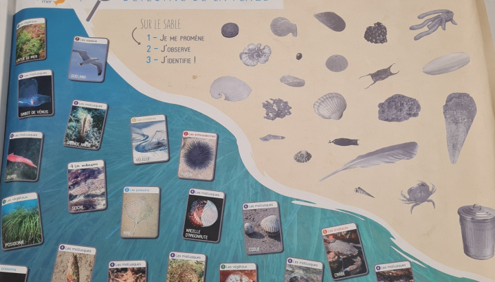 Bâche de jeu « détective à la plage » Biolit