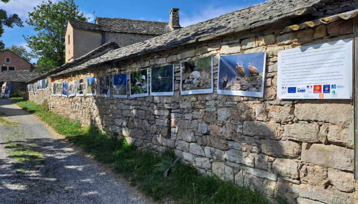 Expo Faune de montagne