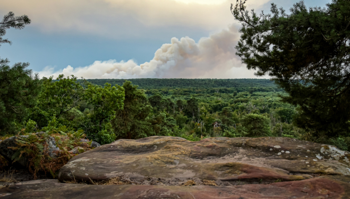 Incendie 2026 dans la Forêt de Fontainebleau