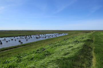 Vue sur le pré salé depuis la digue de la Bosse