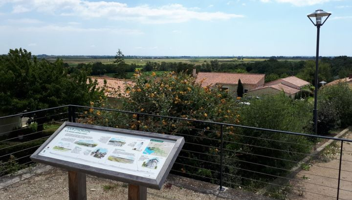 Partez à la découverte des paysages du marais desséché grâce à cette balade de 3 kms dans le village de Saint-Denis-du-Payré.
