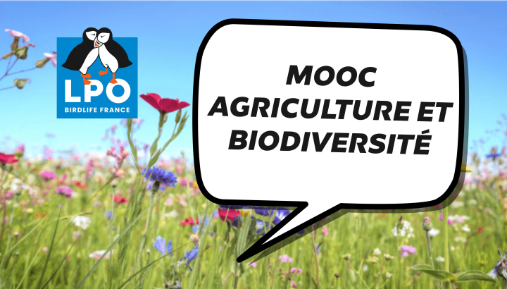 Visuel d'illustration du MOOC Agriculture et Biodiversité