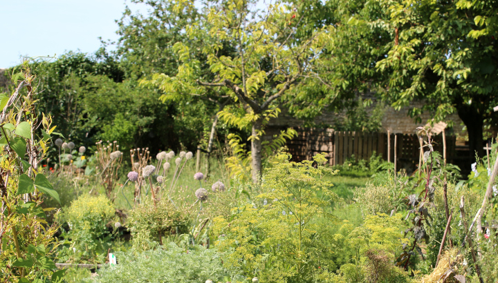 Jardin sauvage © Nicolas Macaire / LPO