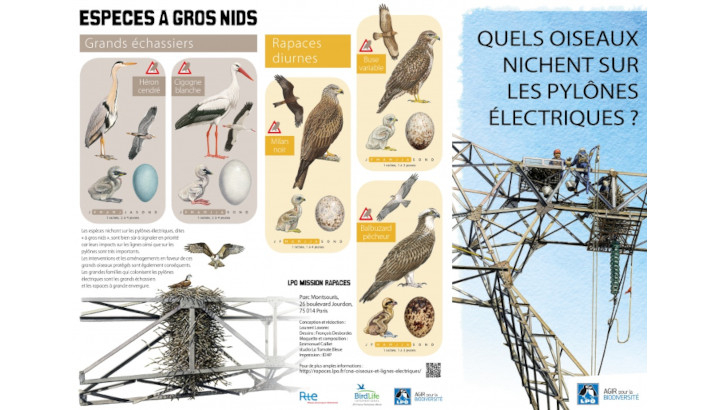 dépliant : Quels oiseaux nichent sur les pylônes électriques ?