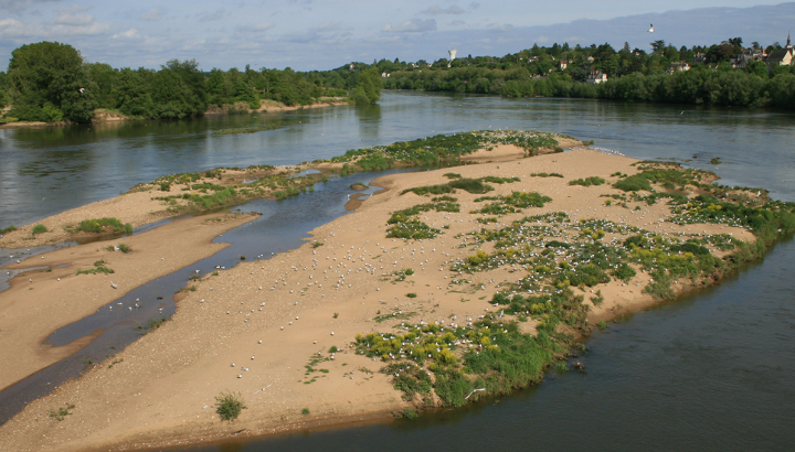 Loire © Nicolas Macaire