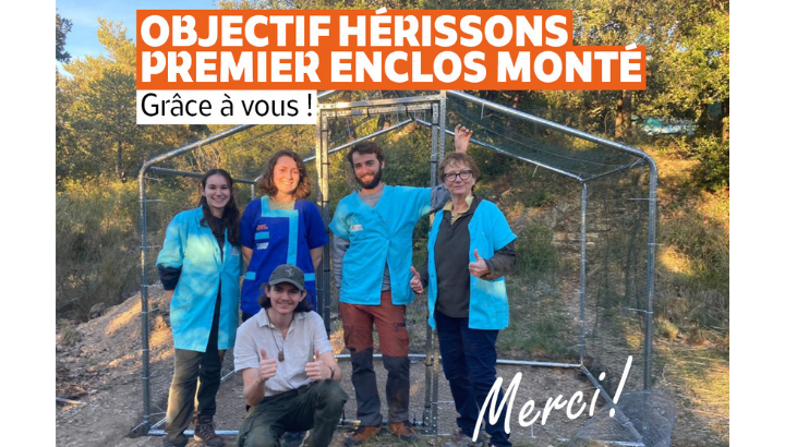 L'équipe du Centre vient de monter le premier enclos pour les hérissons © CRSFS LPO PACA