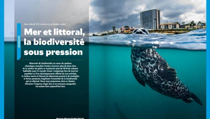 extrait du dossier Mer et littoral