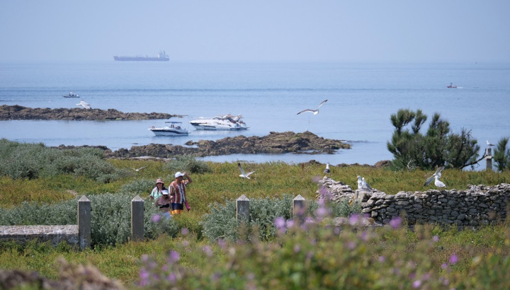 Ile du Pilier : on accoste et ça décolle … Un peu de sensibilisation est nécessaire – Photo© André Robert